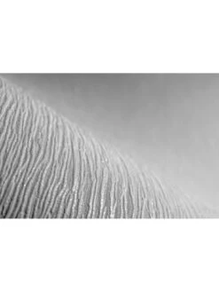 Boutique  Shimmer Silver Wallpaper -Oleu Furniture Shop TQUYV SQ3 0000000035 SILVER SLd1