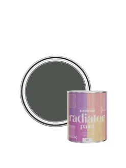 Rust-Oleum Matt Finish 750 Ml Radiator Paint – Graphite