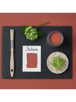 Rust-Oleum Bathroom Wall Paint In Salmon – 2.5-litre Tin -Oleu Furniture Shop V7Y4Y SQ4 0000003961 SALMON SLd1