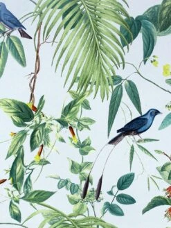 ARTHOUSE Exotic Garden Blue Wallpaper -Oleu Furniture Shop VJ0O4 SQ2 0000000099 N A SLd