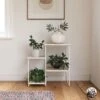 Queer Eye Dante Plant Stand 1 Queer Eye Dante Plant Stand -Oleu Furniture Shop VKEFR SQ1 0000000003 NATURAL RSr