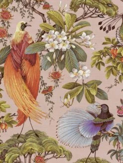 Holden D??cor Songbird Wallpaper - Pink -Oleu Furniture Shop VMQBN SQ2 0000000099 N A SLf