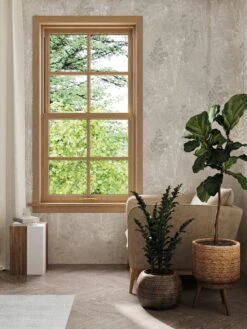 Superfresco Easy Organics Wallpaper - Champagne